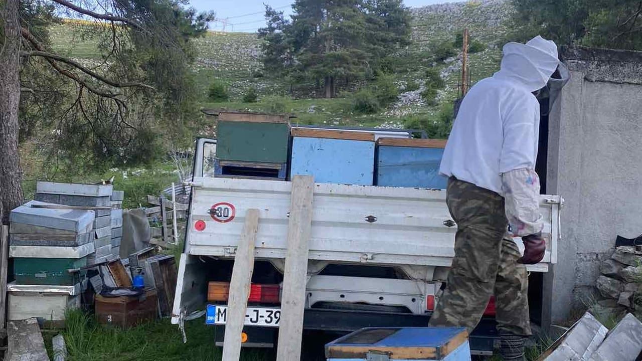 Apiary in Gacko 13