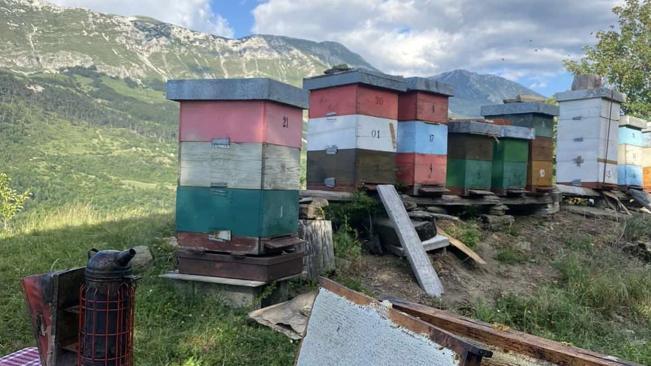 Pčelinjak u Izgori 13