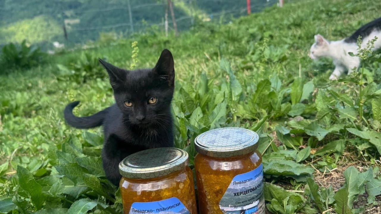 Pčelinjak u Izgori 3