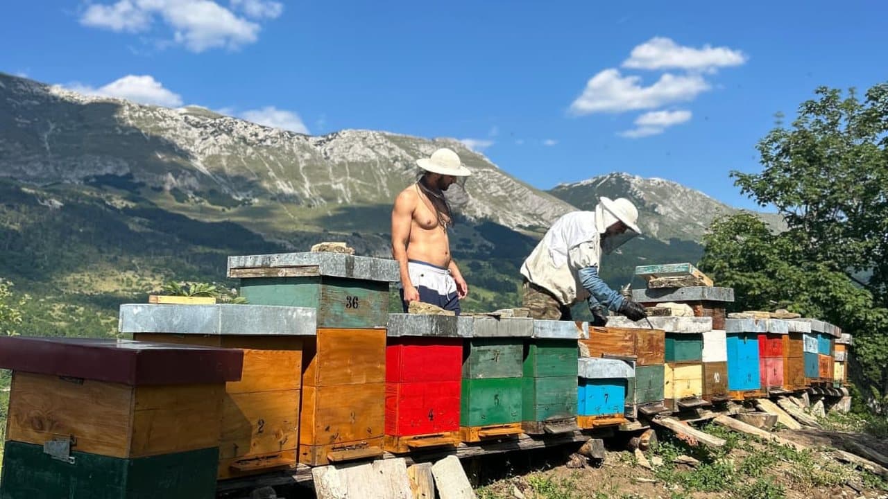 Pčelinjak u Izgori 9