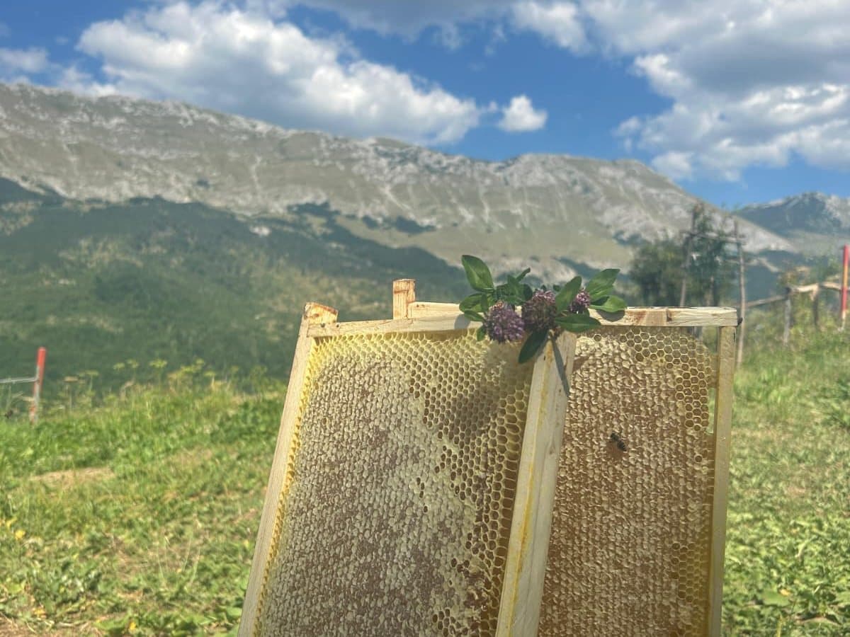 Saće ispred planinskog masiva