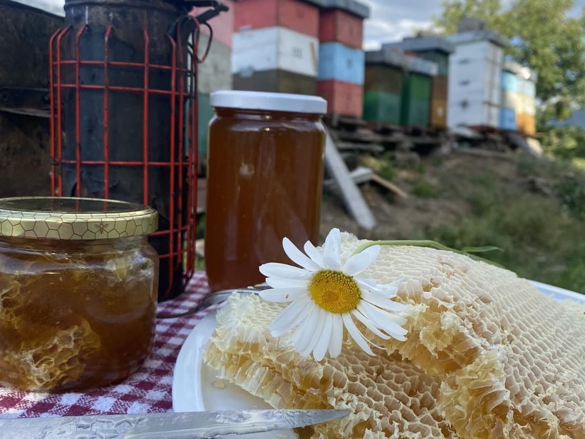 Fotografija sa pčelinjaka, Izgori 102
