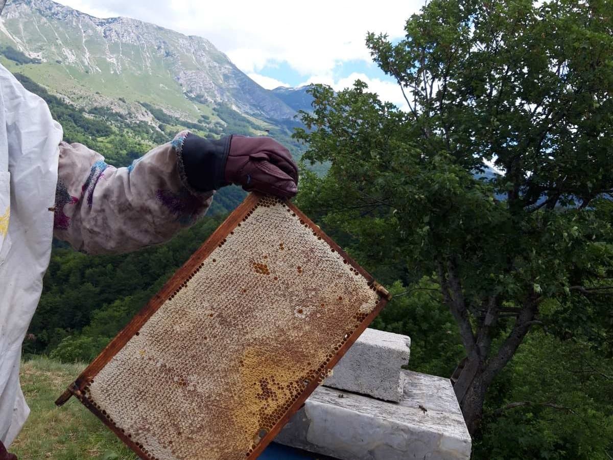 Fotografija sa pčelinjaka, Izgori 107