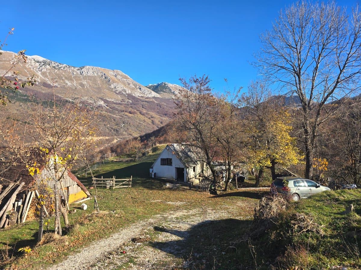 Fotografija sa pčelinjaka, Izgori 11