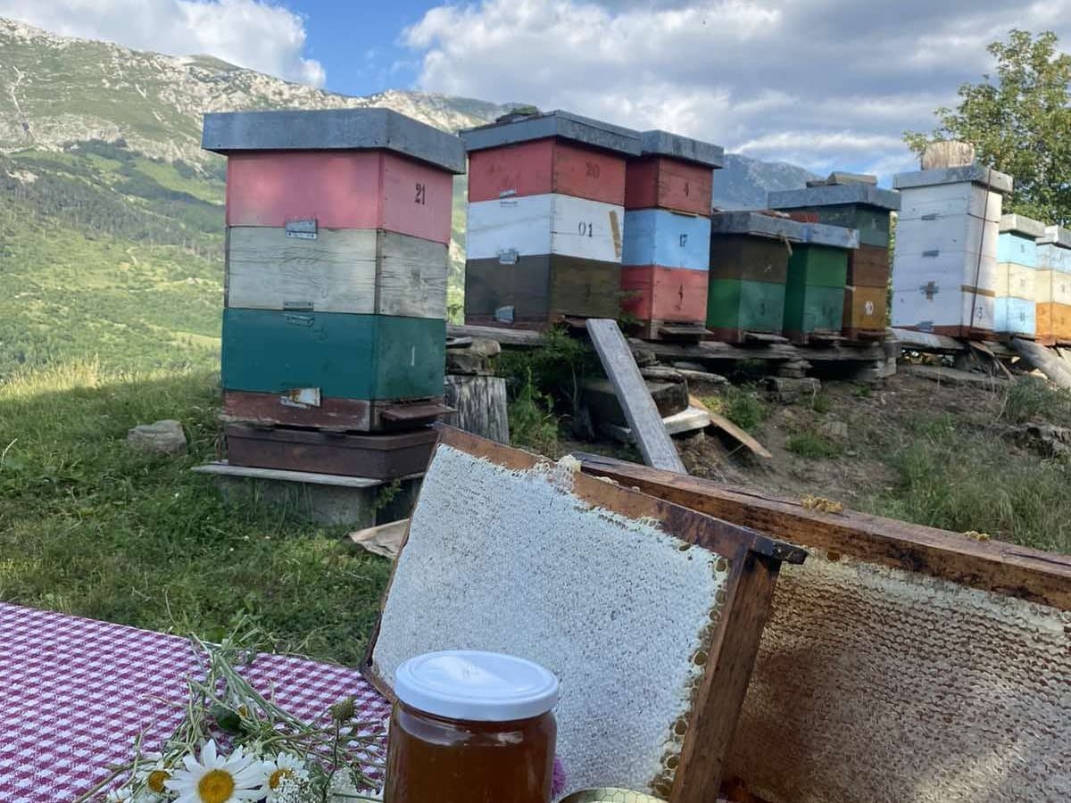 Photo from the apiary, Izgori 117