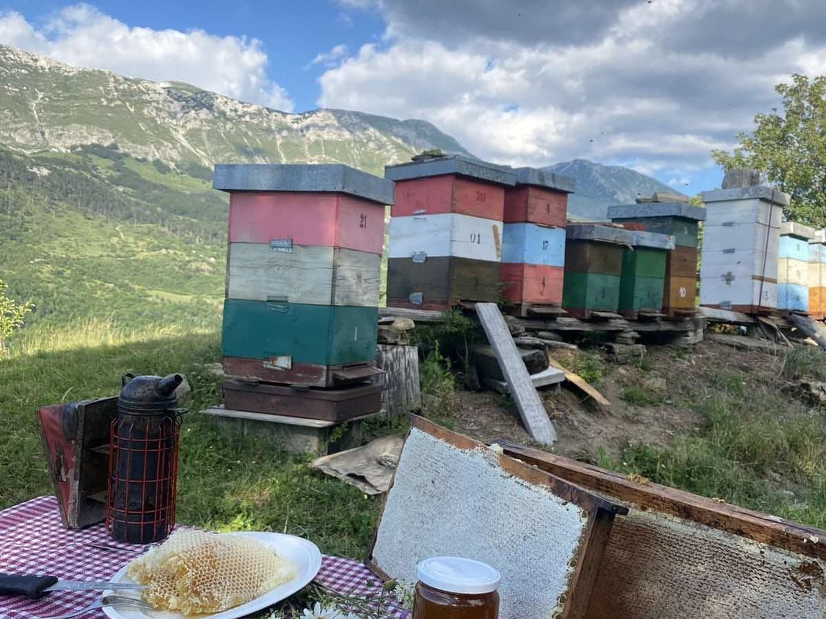 Photo from the apiary, Izgori 119