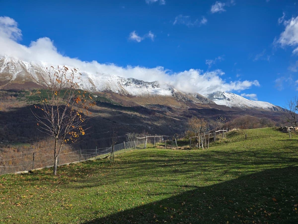 Fotografija sa pčelinjaka, Izgori 12