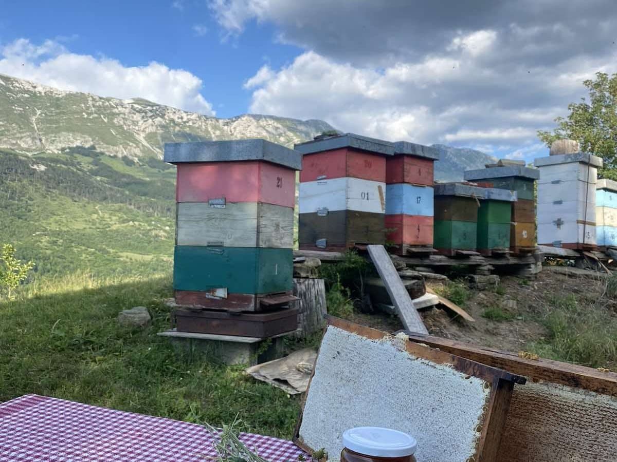 Photo from the apiary, Izgori 125