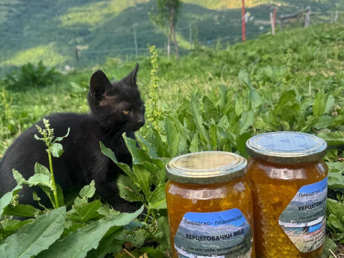 Fotografija sa pčelinjaka, Izgori 14