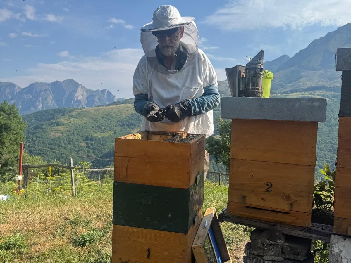 Photo from the apiary, Izgori 30