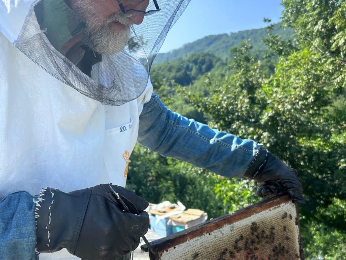 Photo from the apiary, Izgori 31