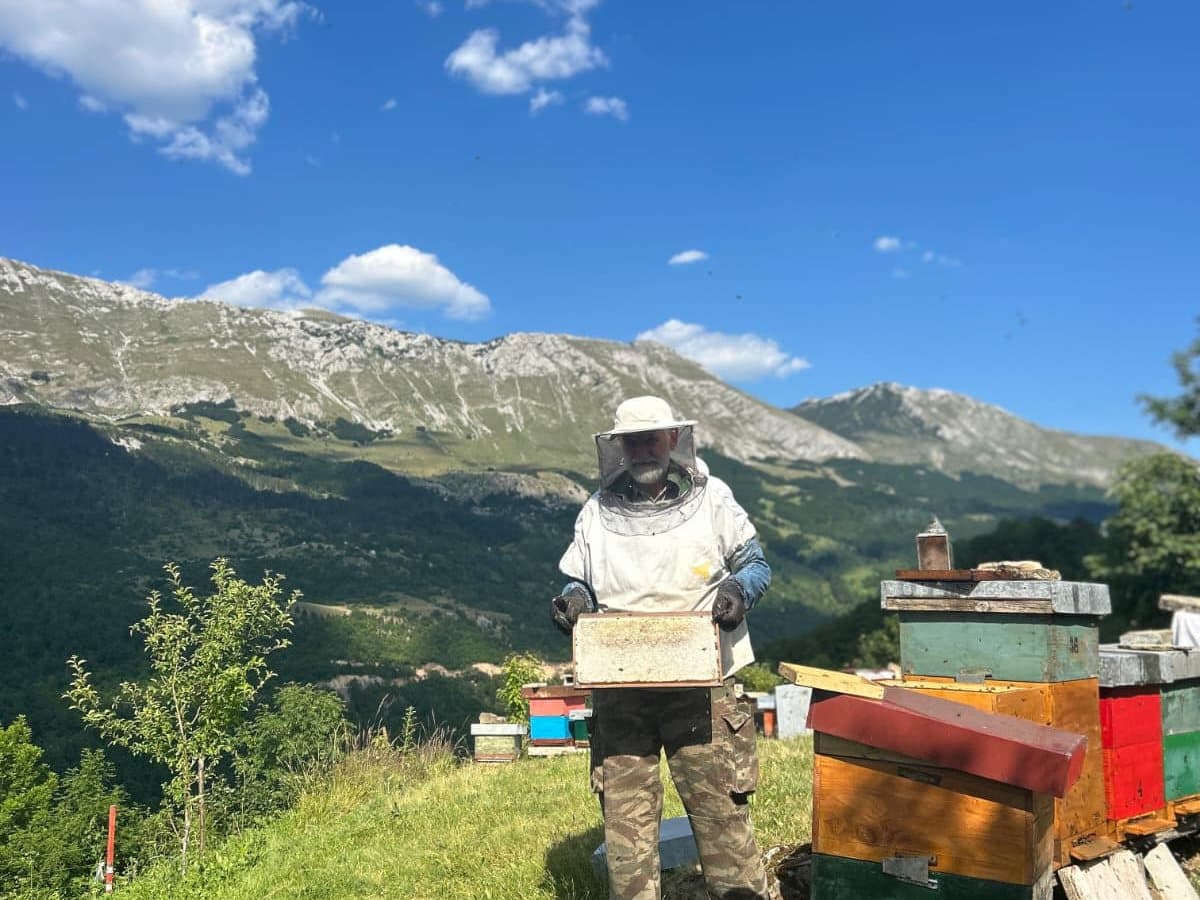 Fotografija sa pčelinjaka, Izgori 45