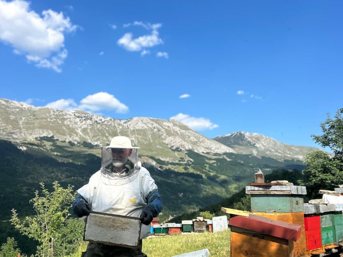 Fotografija sa pčelinjaka, Izgori 46