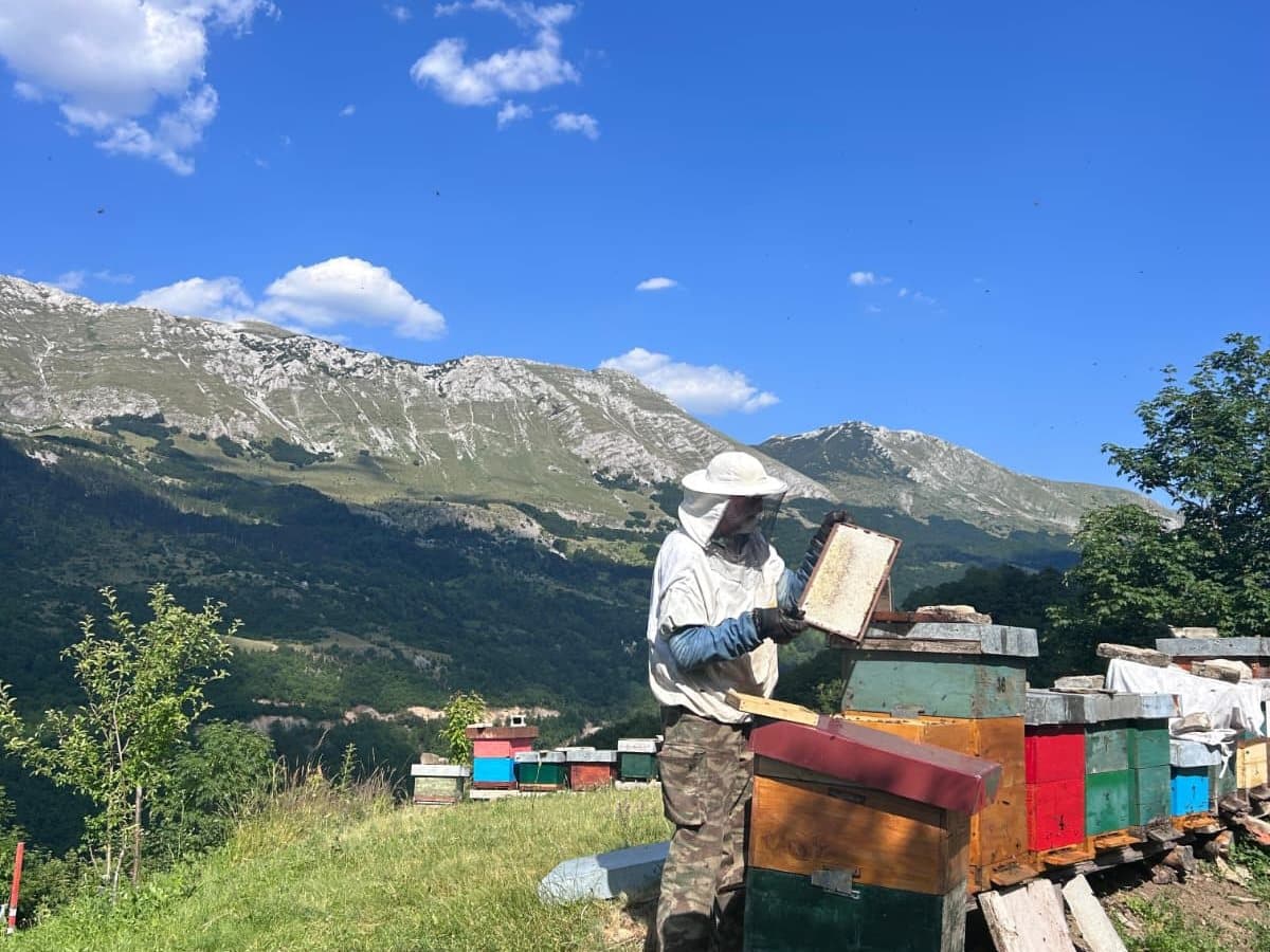 Fotografija sa pčelinjaka, Izgori 47