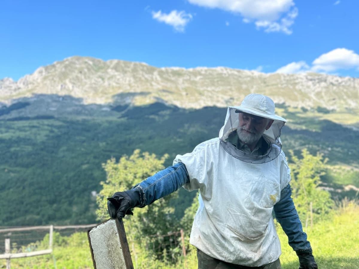 Fotografija sa pčelinjaka, Izgori 48