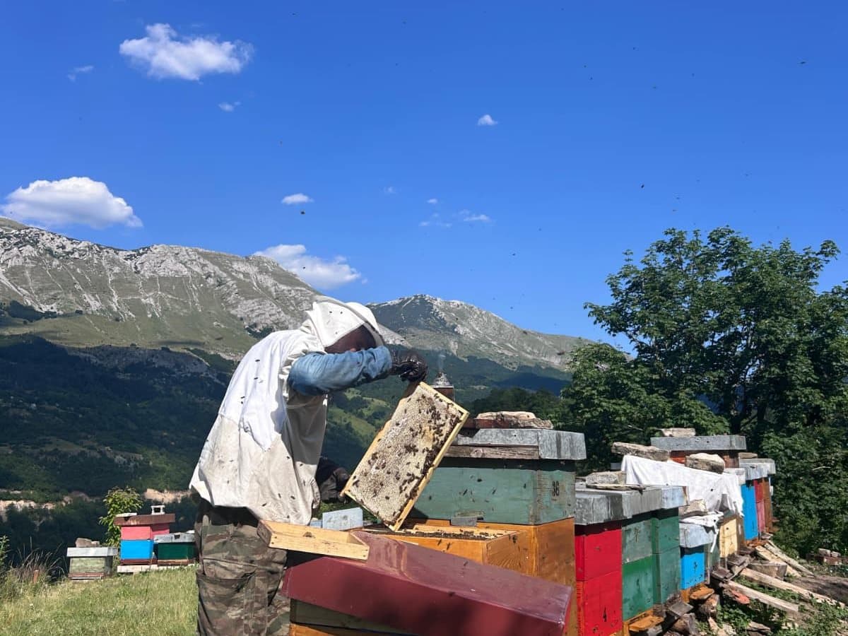 Fotografija sa pčelinjaka, Izgori 51