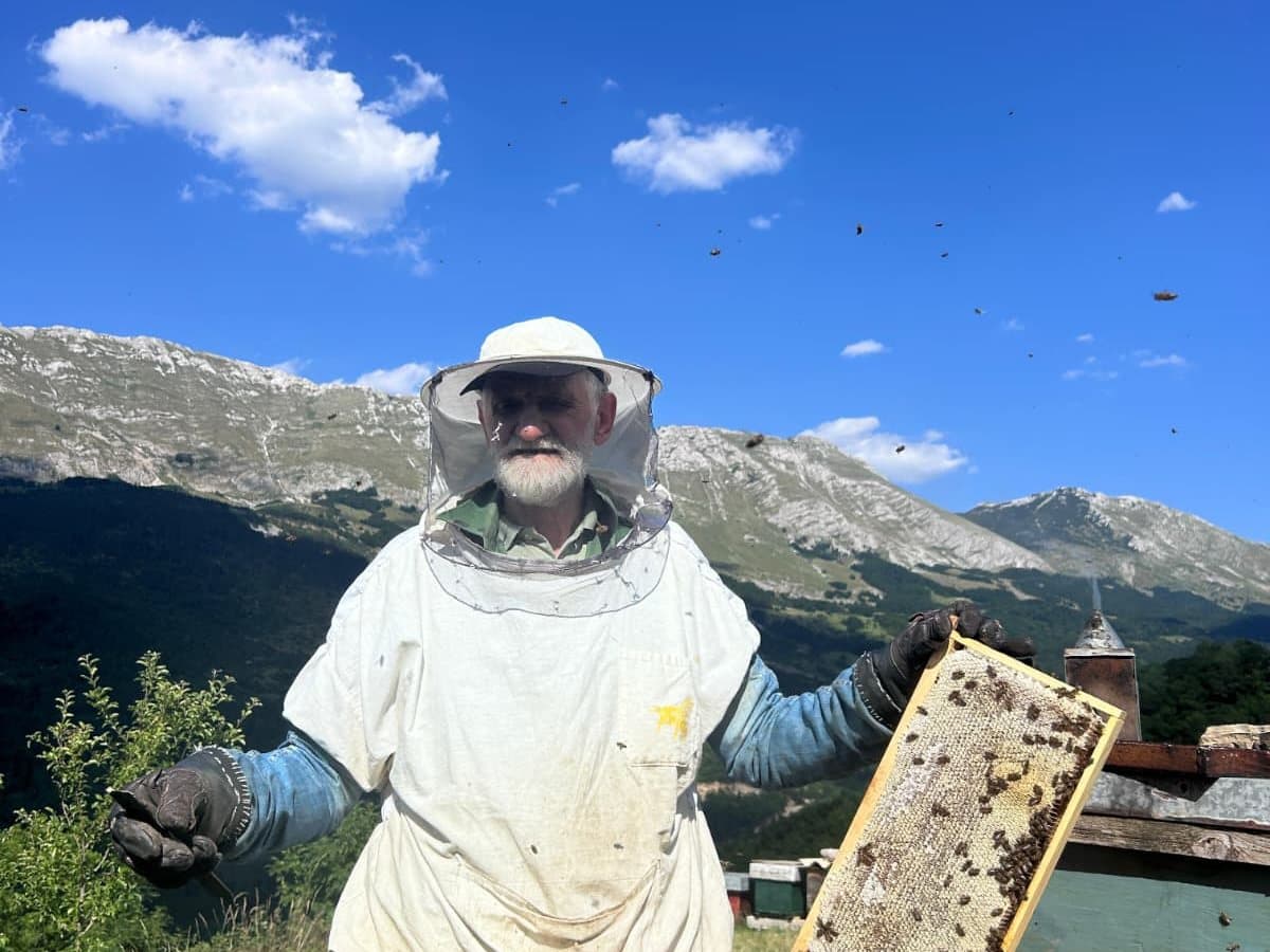 Fotografija sa pčelinjaka, Izgori 52
