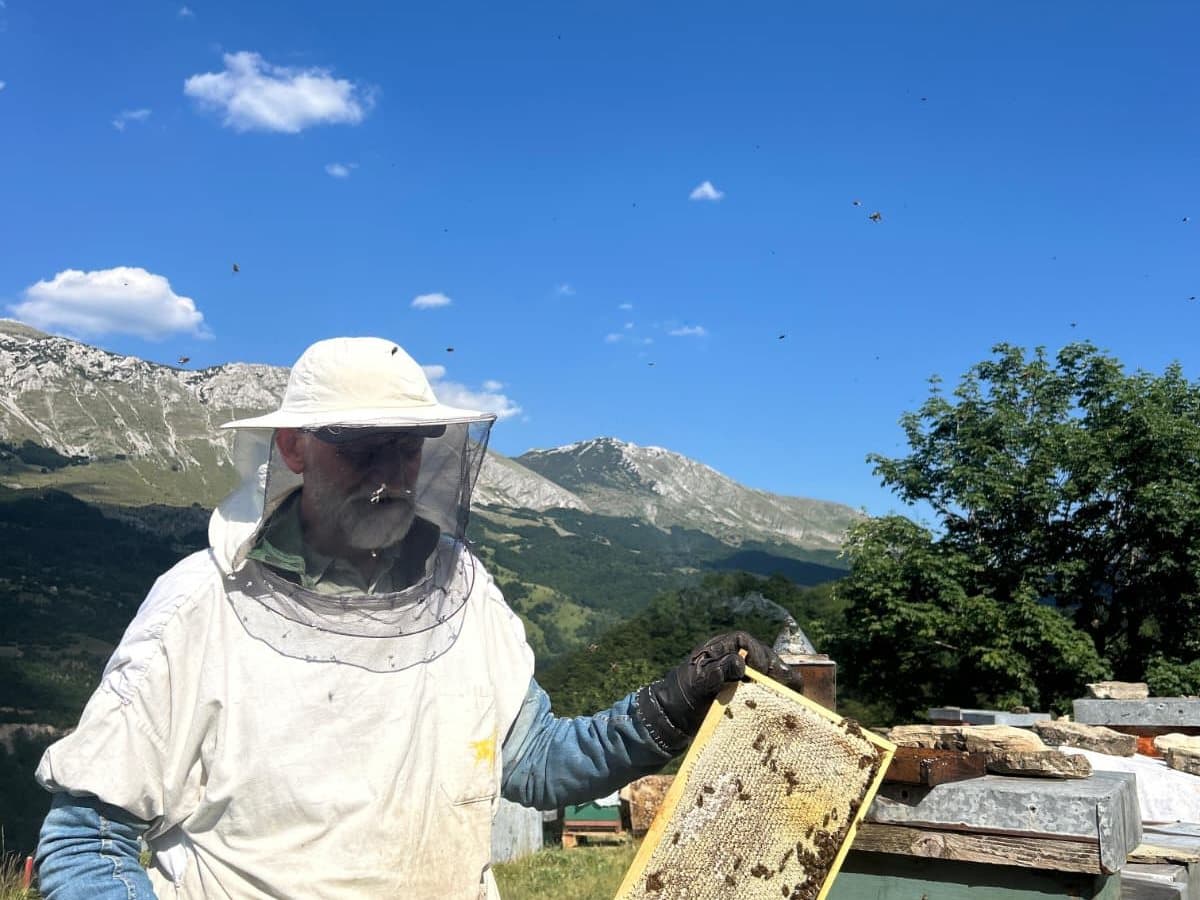 Fotografija sa pčelinjaka, Izgori 53