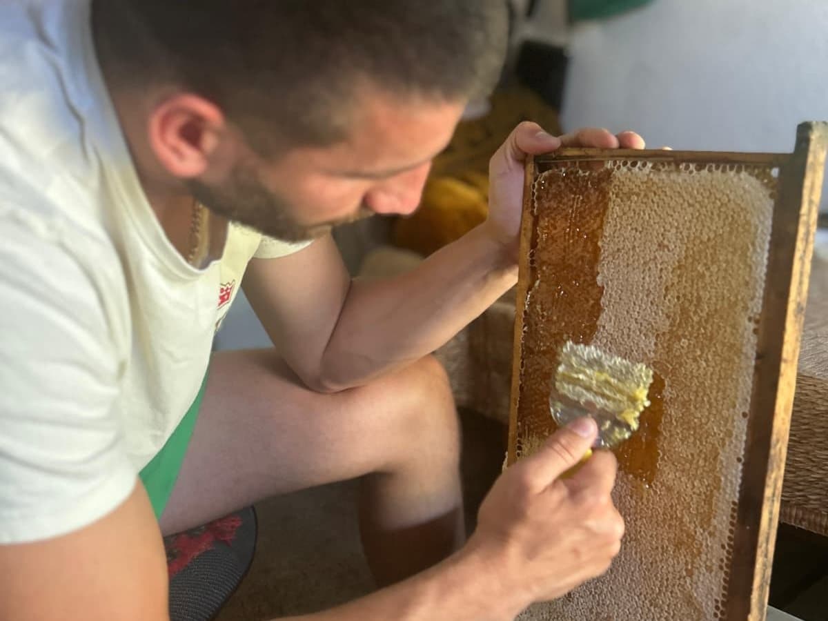 Photo from the apiary, Izgori 54