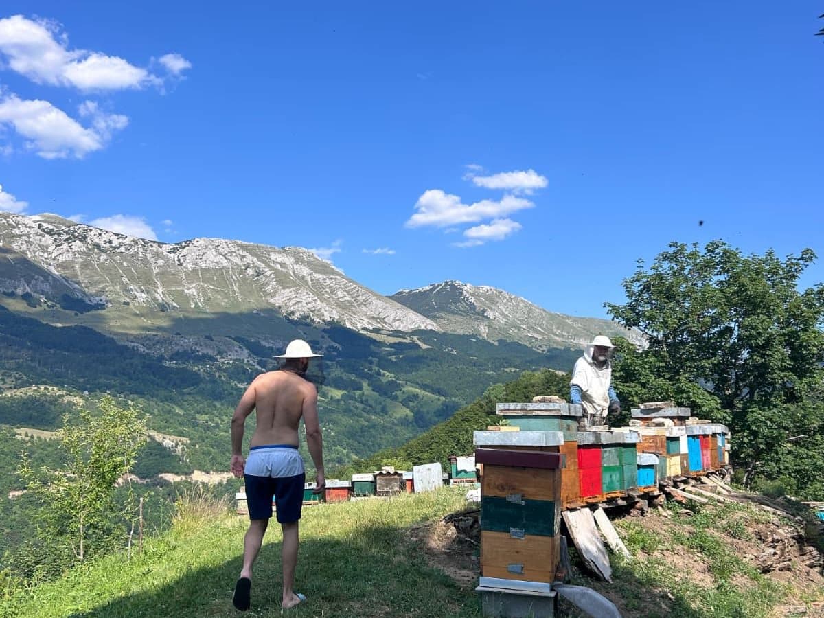 Fotografija sa pčelinjaka, Izgori 57