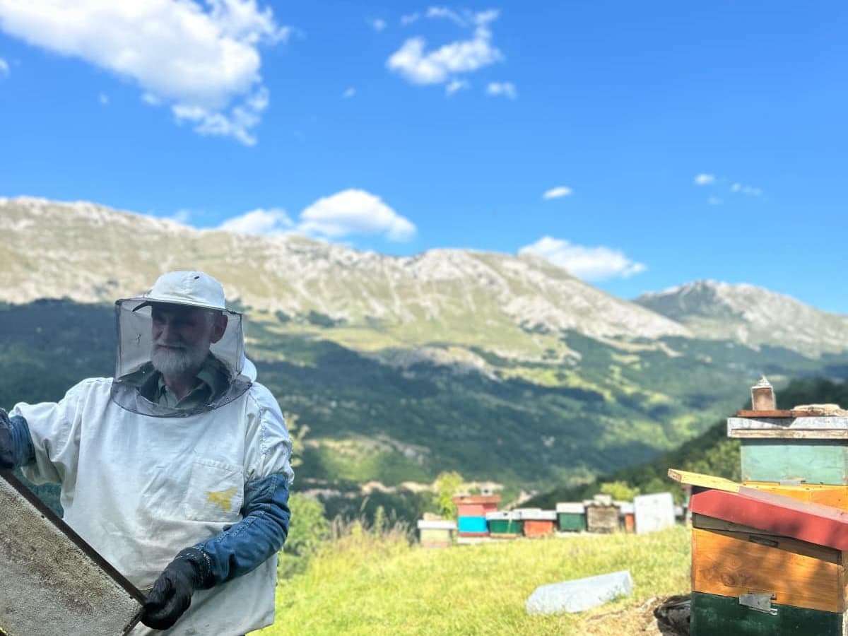 Photo from the apiary, Izgori 61