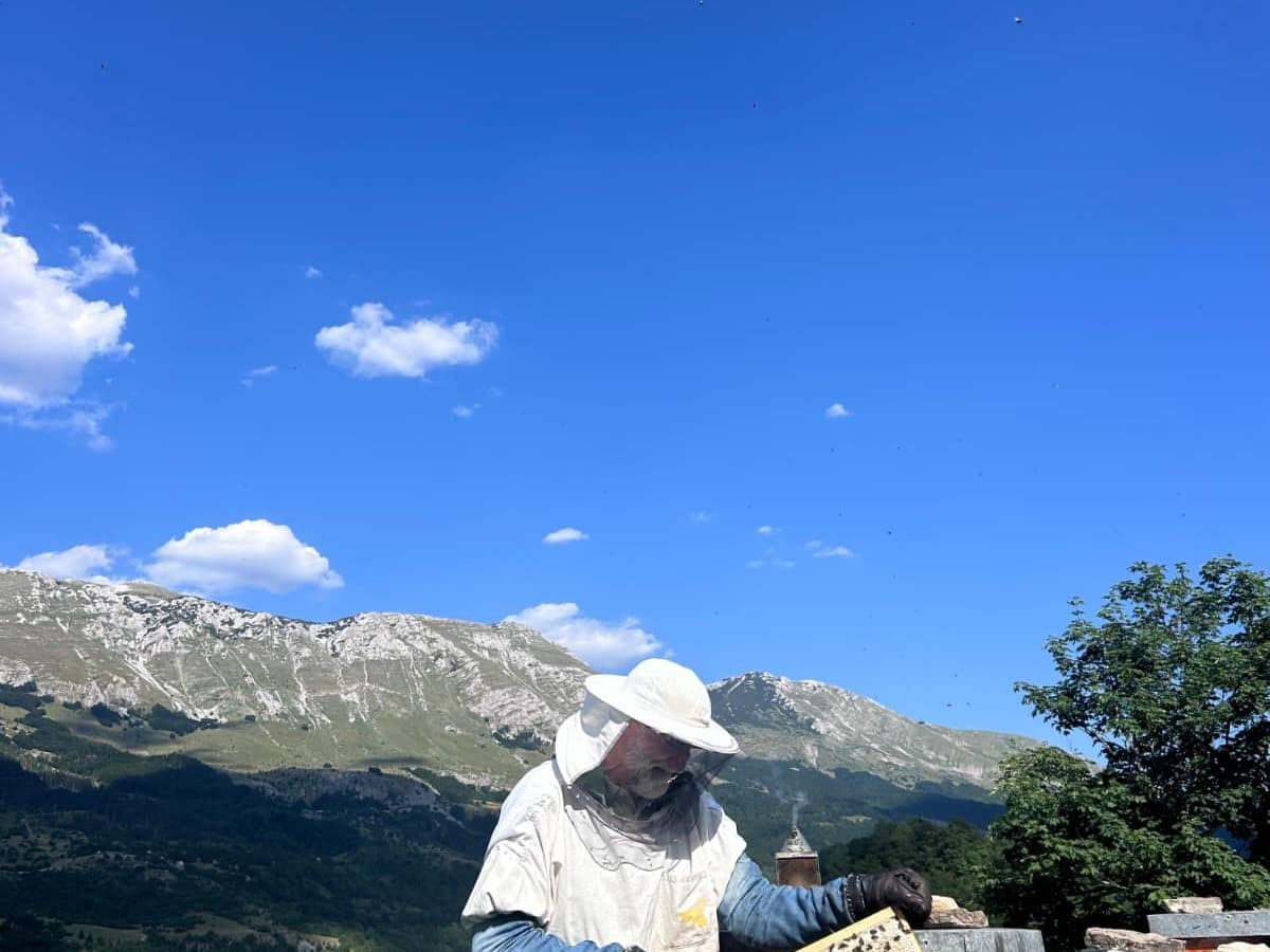 Photo from the apiary, Izgori 63