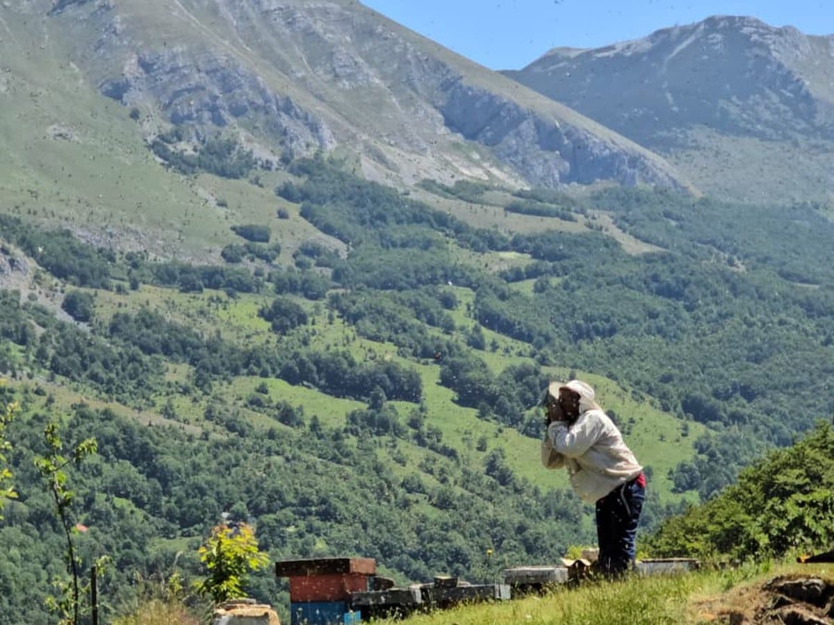 Fotografija sa pčelinjaka, Izgori 64