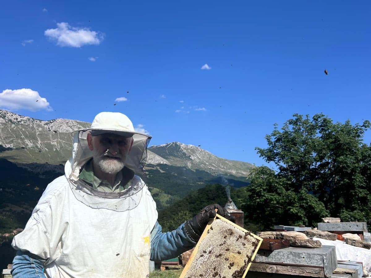 Photo from the apiary, Izgori 67