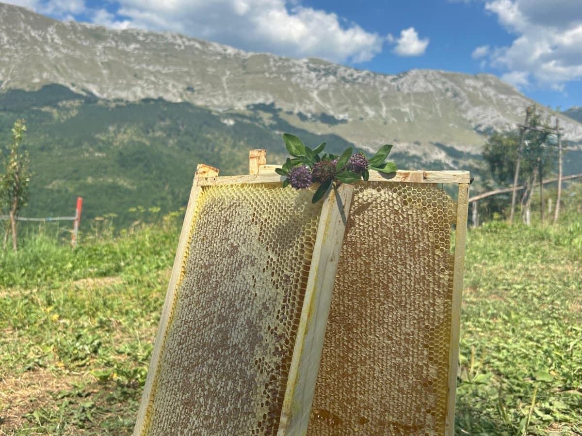 Fotografija sa pčelinjaka, Izgori 68