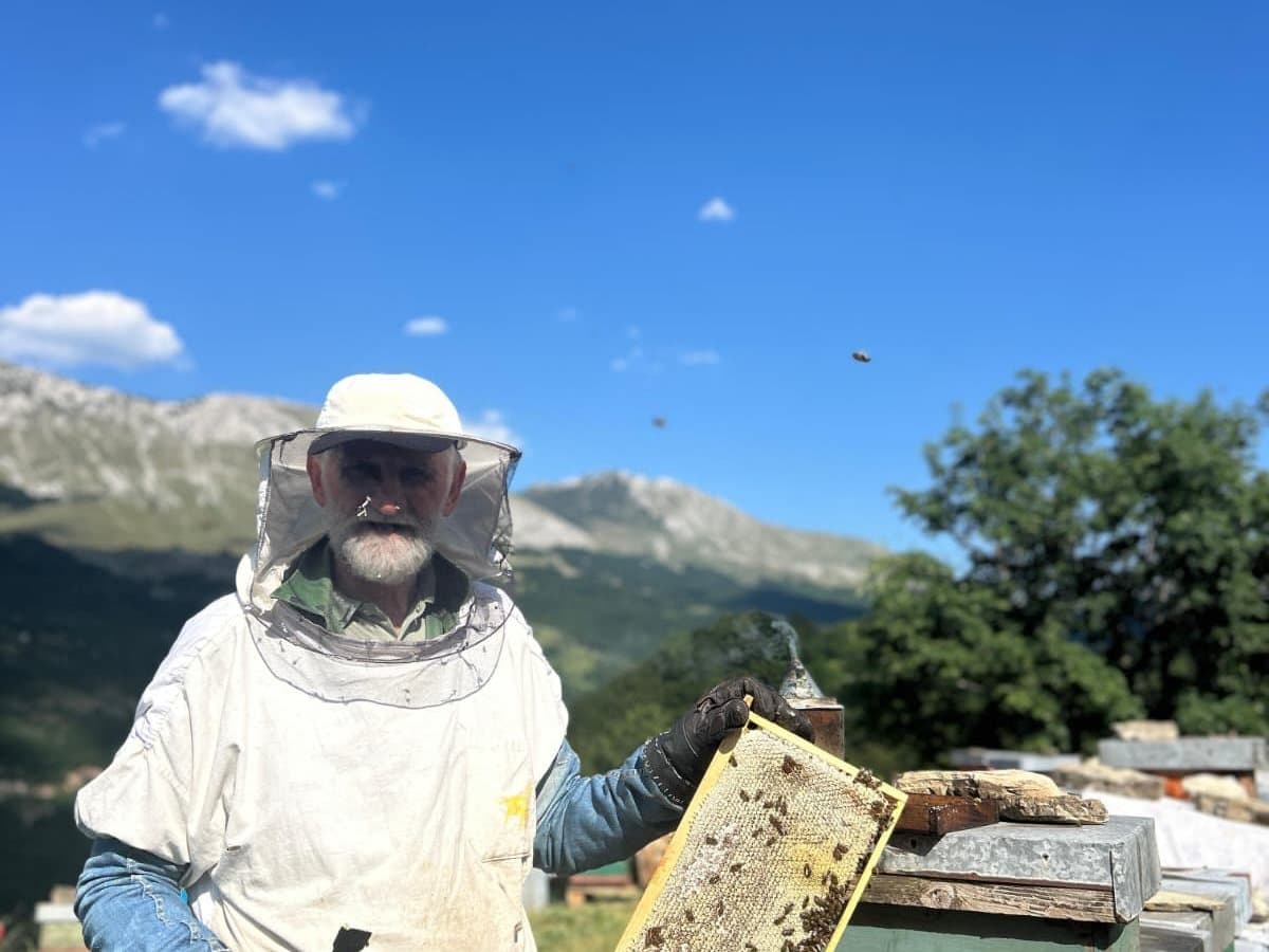 Photo from the apiary, Izgori 71