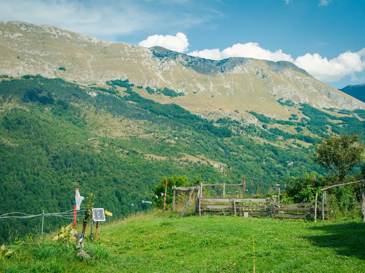 Fotografija sa pčelinjaka, Izgori 83