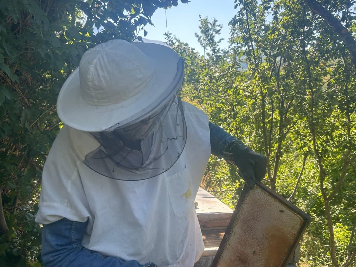Photo from the apiary, Izgori 86