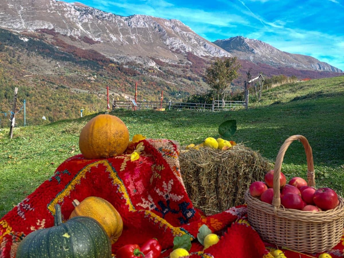 Fotografija sa pčelinjaka, Izgori 86