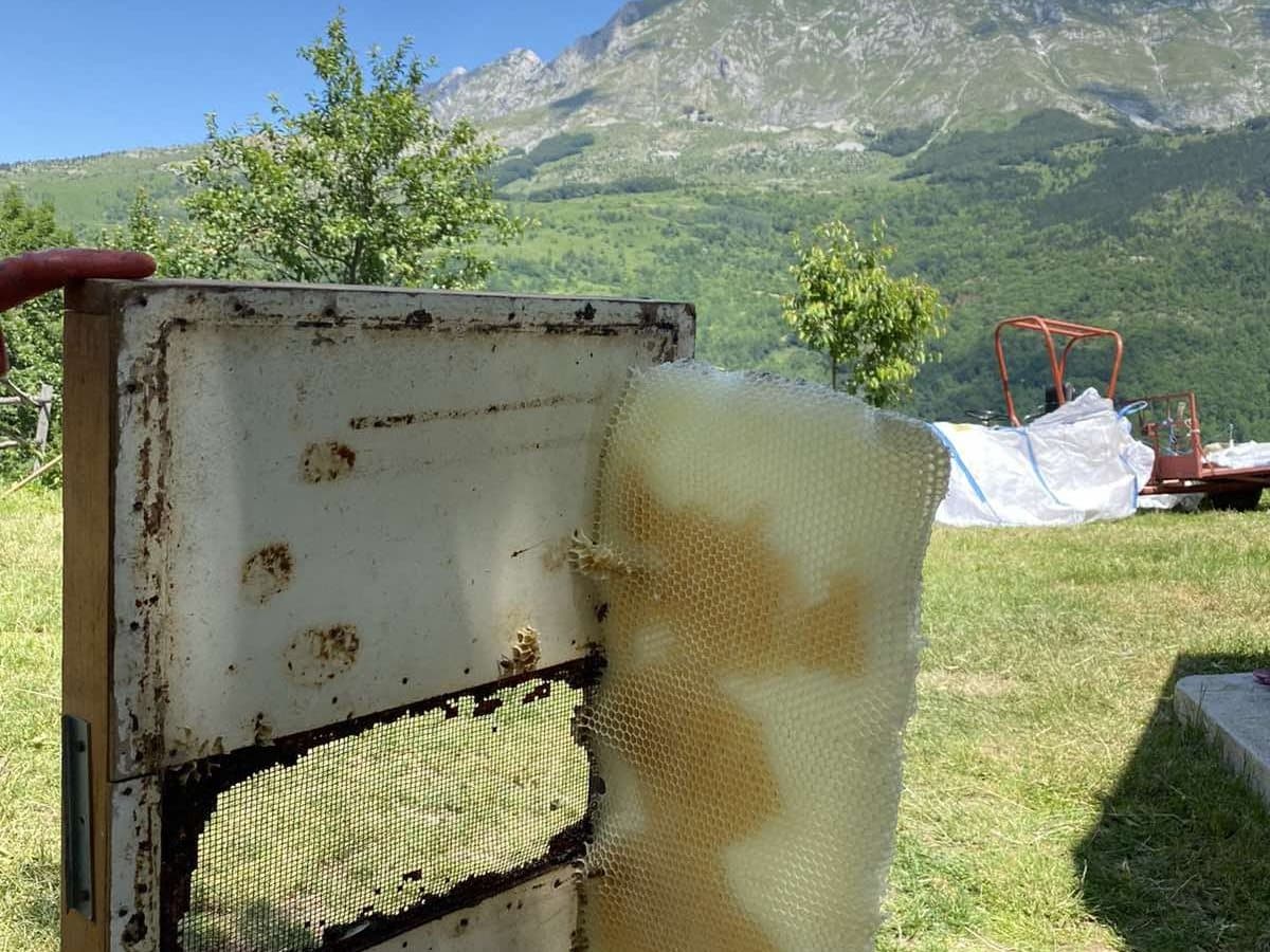 Fotografija sa pčelinjaka, Izgori 90