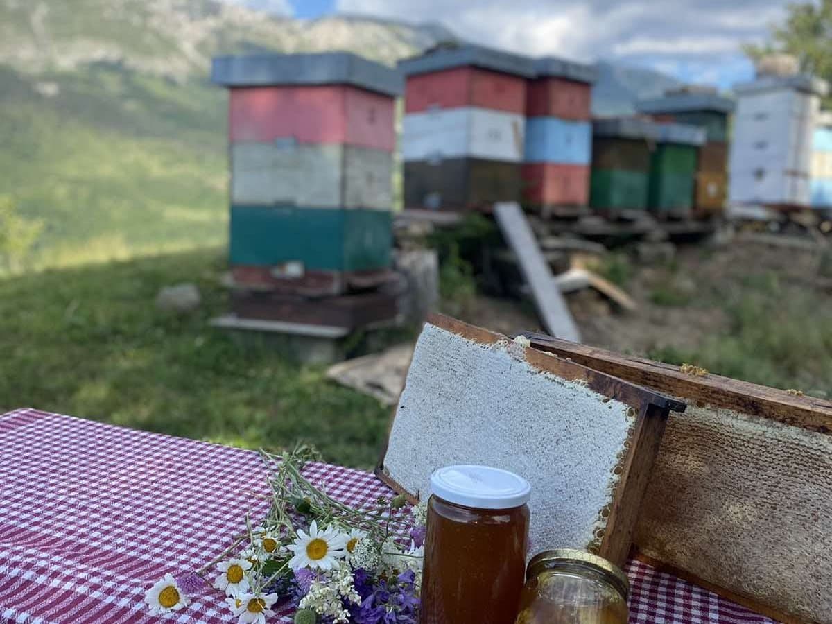 Fotografija sa pčelinjaka, Izgori 93