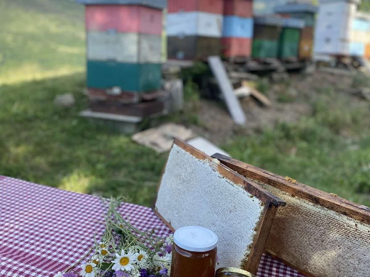 Fotografija sa pčelinjaka, Izgori 98