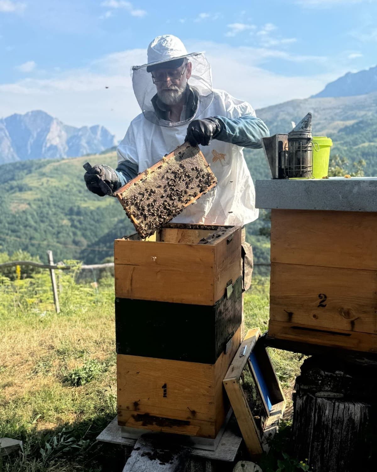 Pčelar drži ram sa društvom, planine u pozadini
