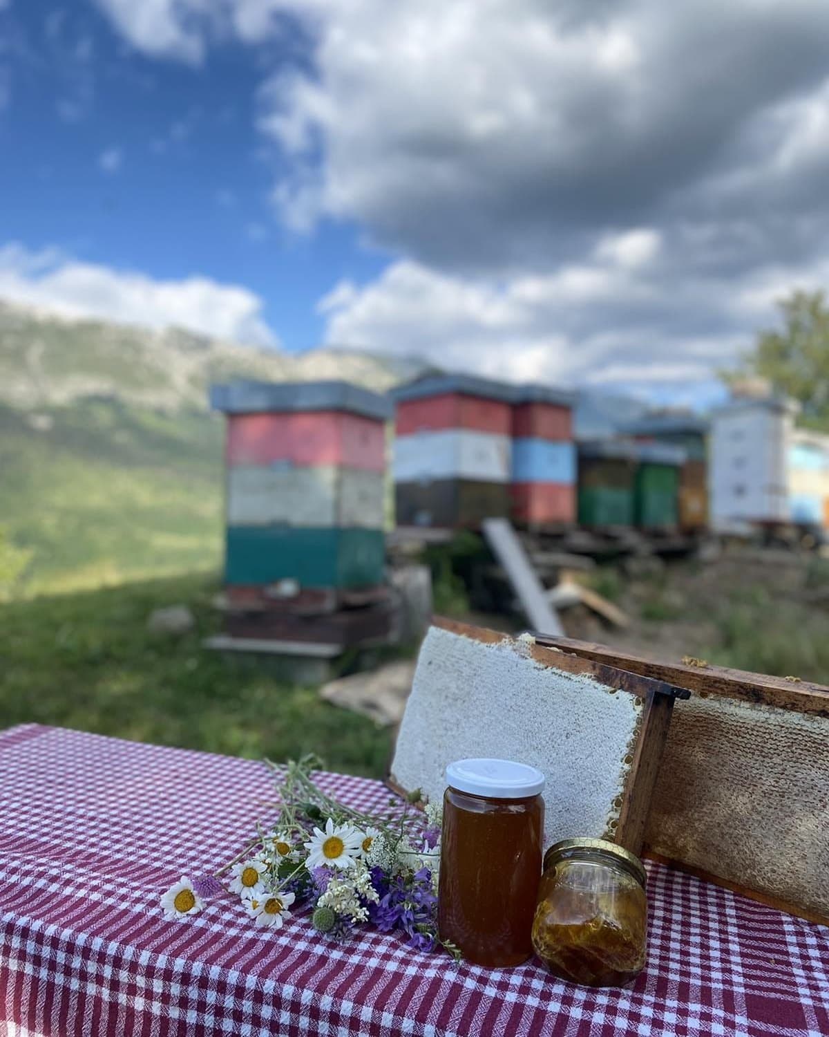 Saće i tegla meda na stolu pored košnica