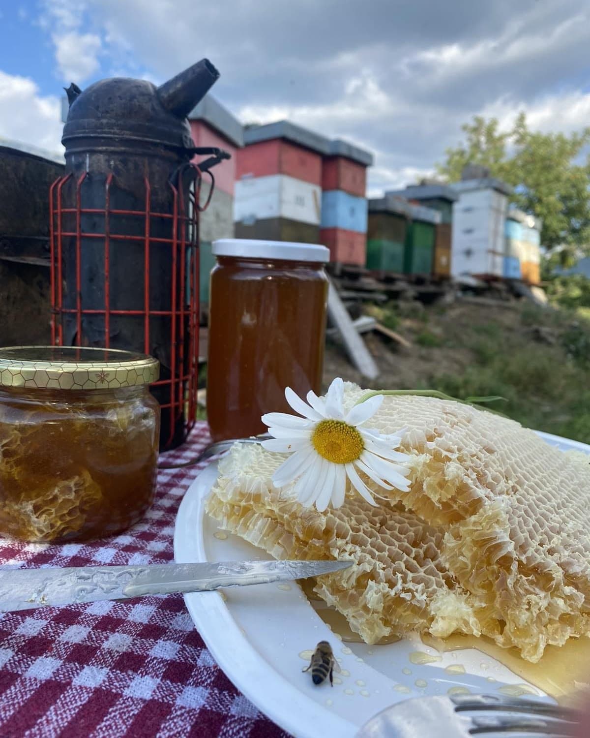 Honeycomb and a jar