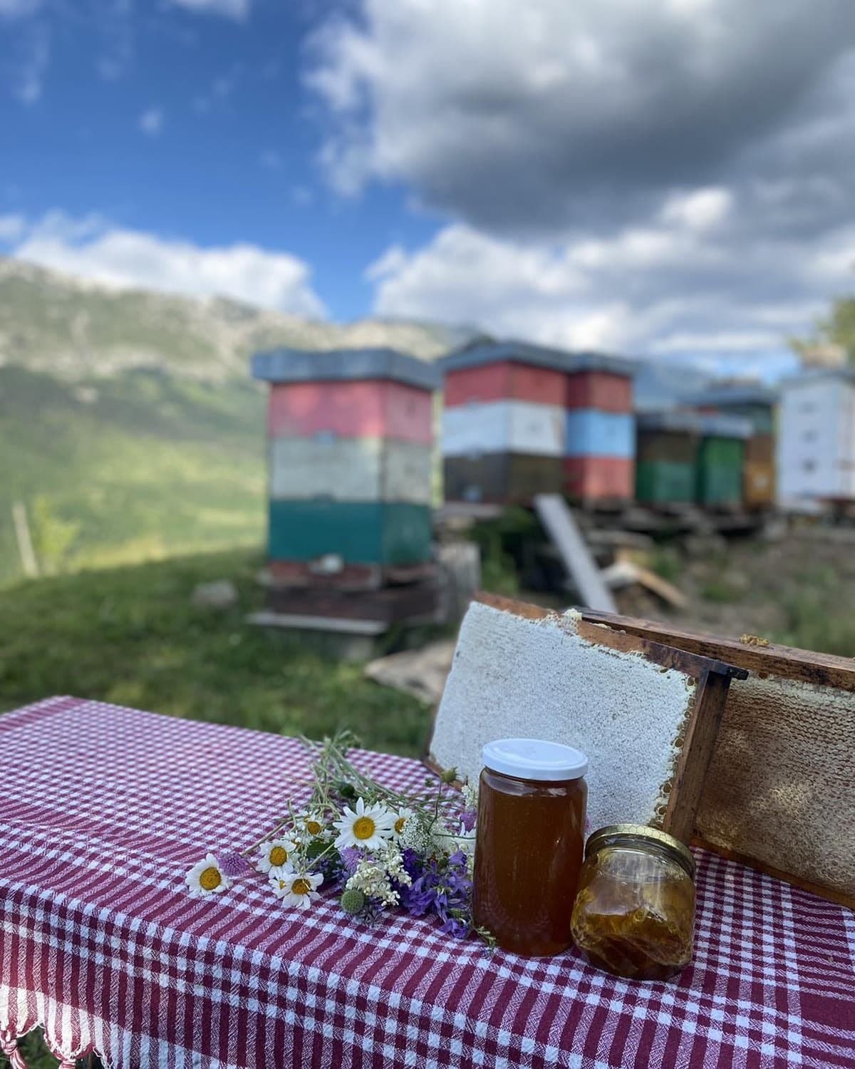 Jars at the apiary